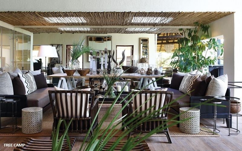 Londolozi Tree Camp 25